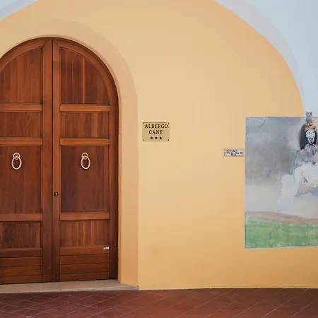 Cane Hotel 3*